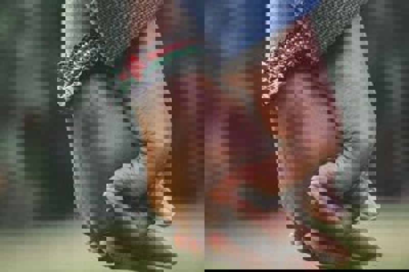 Pexels Git Stephen Gitau 1667849 2 300X200